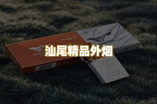 汕尾精品外烟